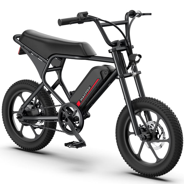 Macfox M19 Teen Electric Bike