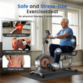 Yosuda Recumbent Exercise Bike for Senior for Home with 350 lb Capacity